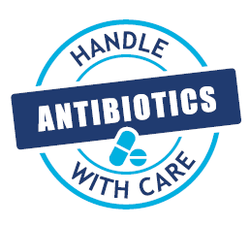 Antibiotics 2024